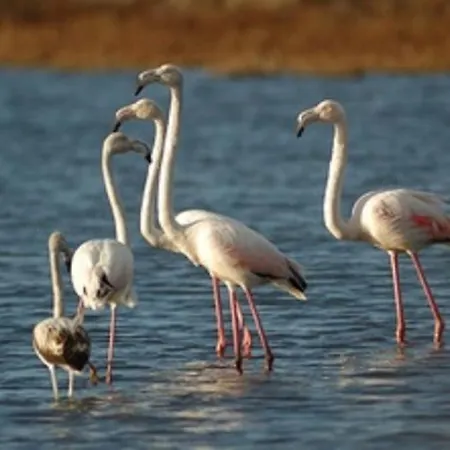 Il Terrazzo Del Sole