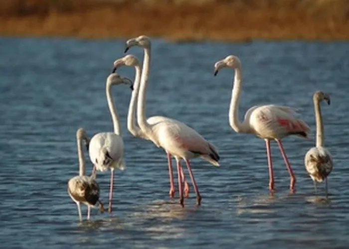 Il Terrazzo Del Sole